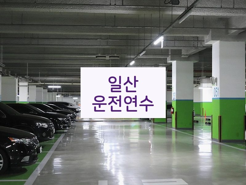 일산운전연수 후기