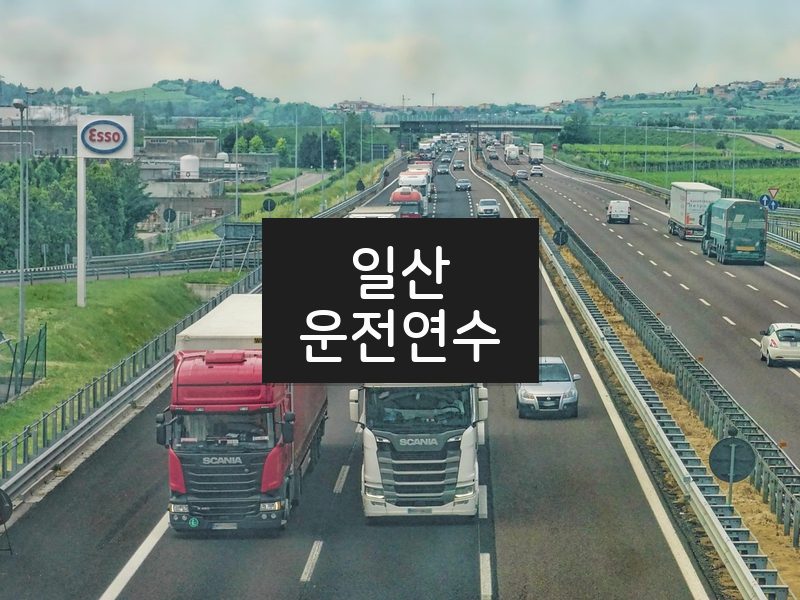 일산운전연수 후기