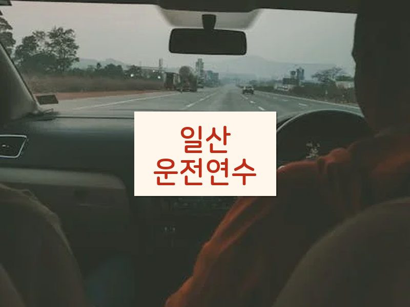 일산운전연수 후기