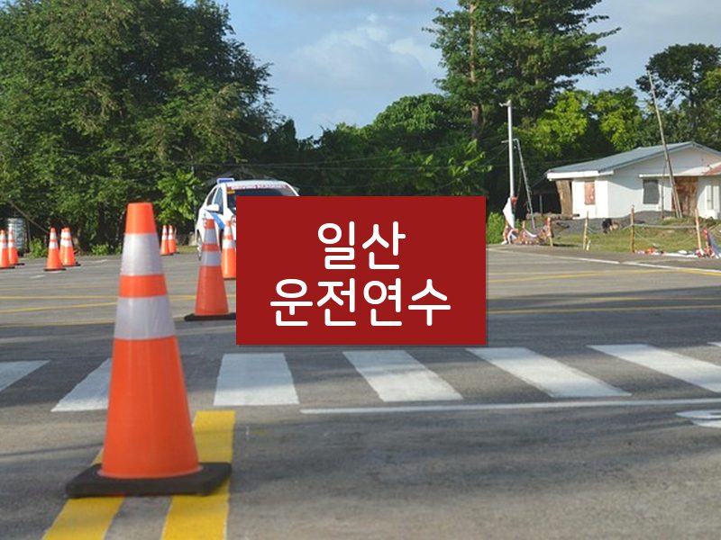 일산운전연수 후기