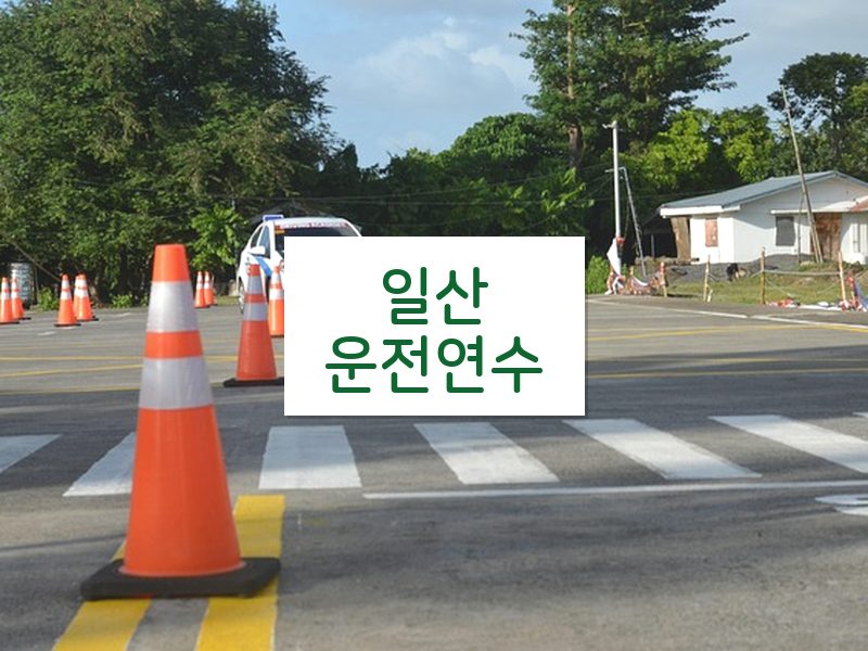 일산운전연수 후기