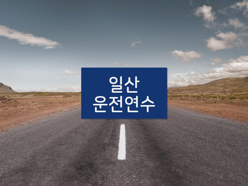 일산운전연수 후기