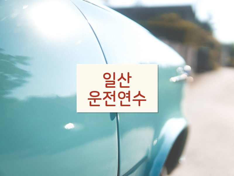 일산운전연수 후기