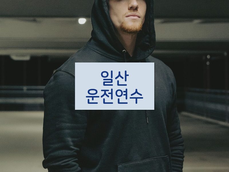 일산운전연수 후기