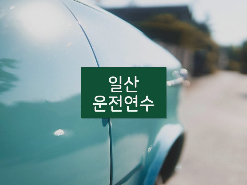 일산운전연수 후기
