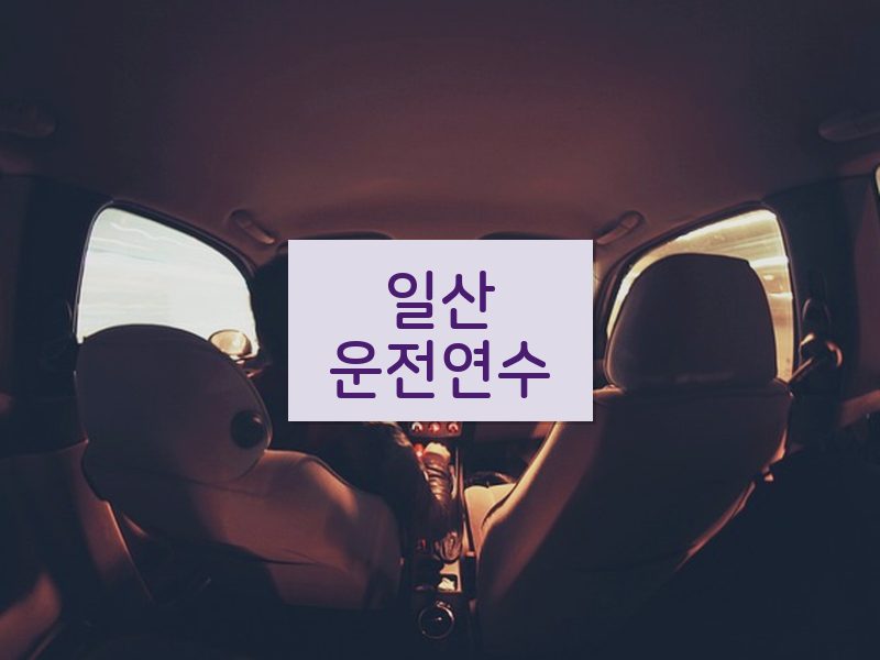 일산운전연수 후기
