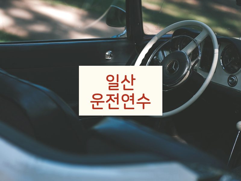 일산운전연수 후기