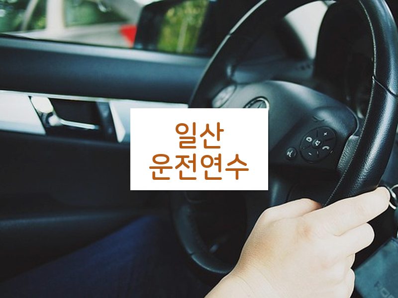 일산운전연수 후기