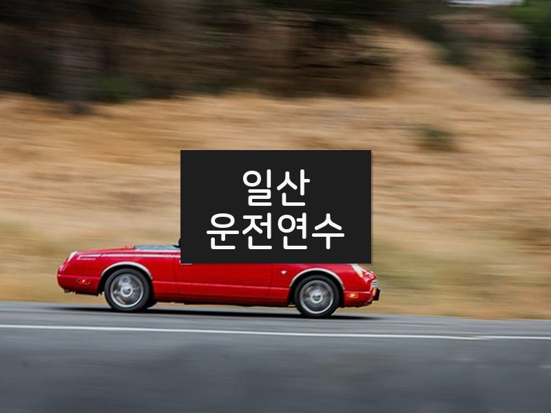 일산운전연수 후기