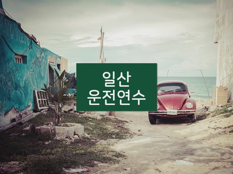 일산운전연수 후기