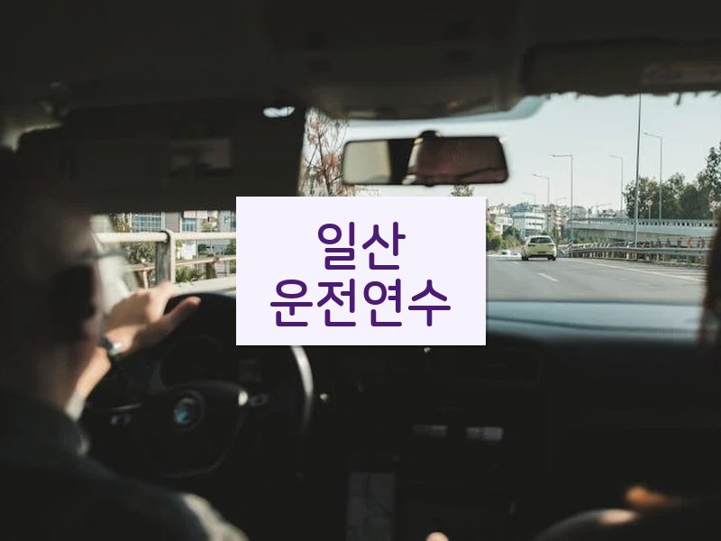 일산운전연수 후기