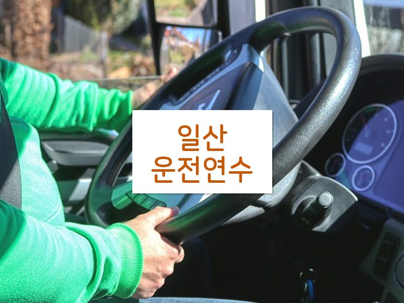 일산운전연수 후기