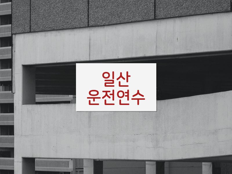 일산운전연수 후기