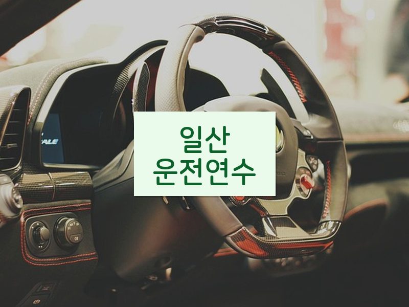 일산운전연수 후기
