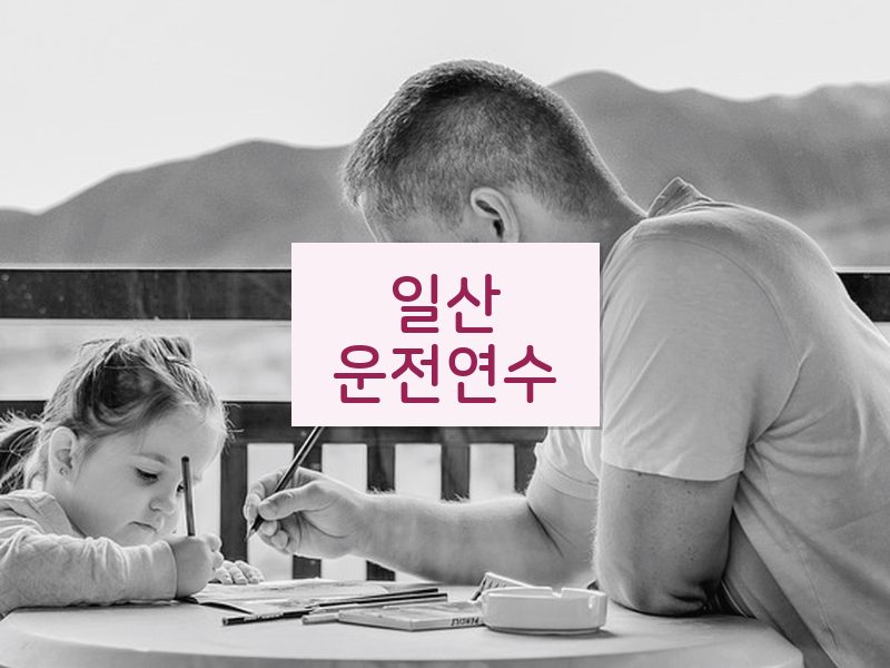 일산운전연수 후기