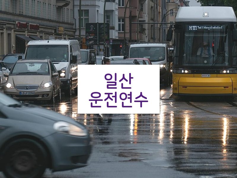 일산운전연수 후기