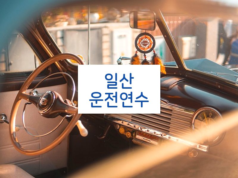 일산운전연수 후기