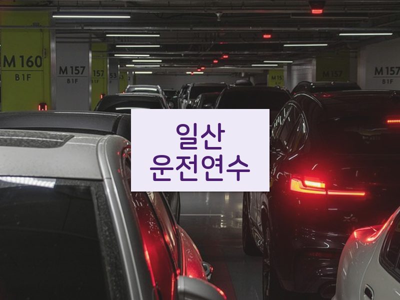일산운전연수 후기