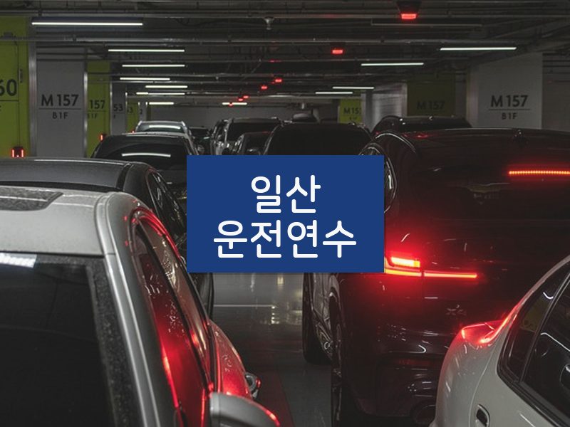 일산운전연수 후기
