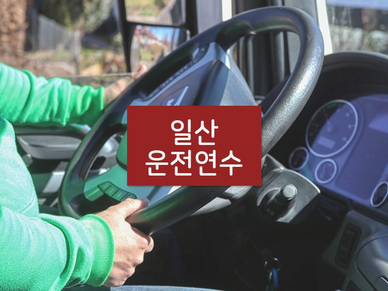 일산운전연수 후기