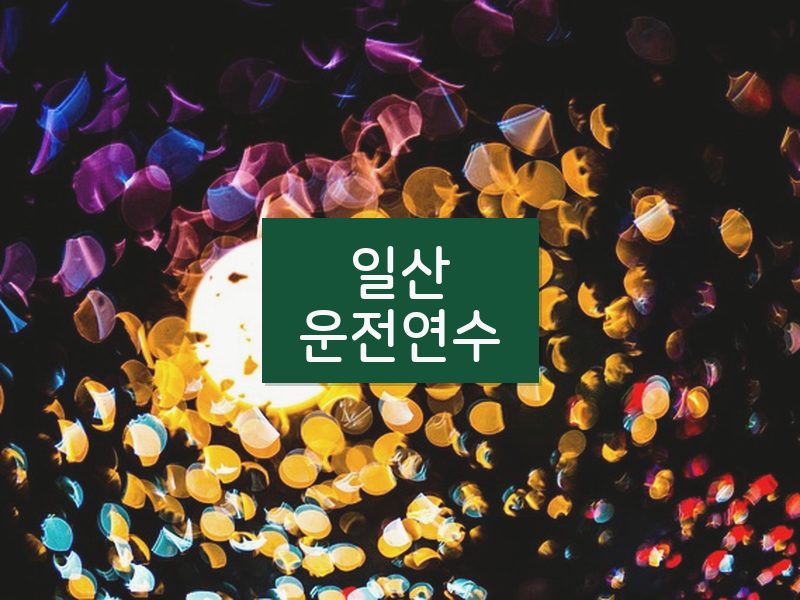 일산운전연수 후기