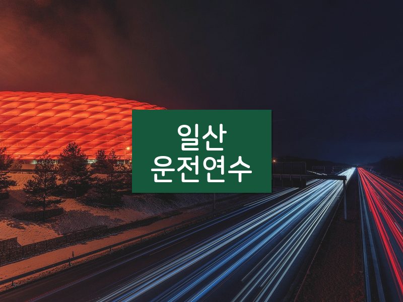 일산운전연수 후기