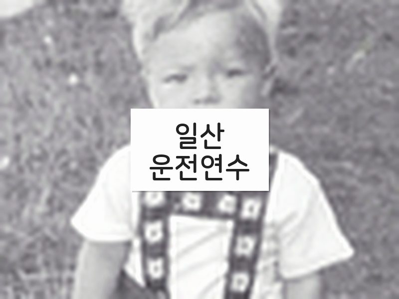 일산운전연수 후기