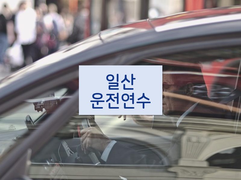일산운전연수 후기