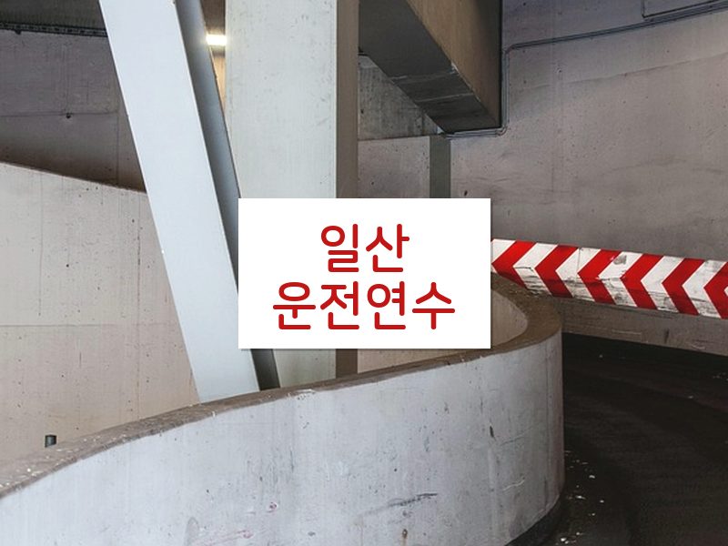 일산운전연수 후기