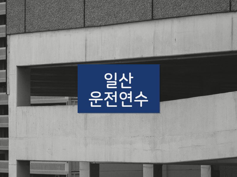 일산운전연수 후기