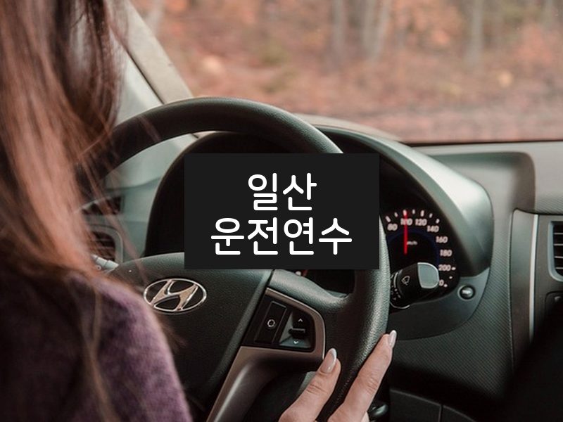 일산운전연수 후기