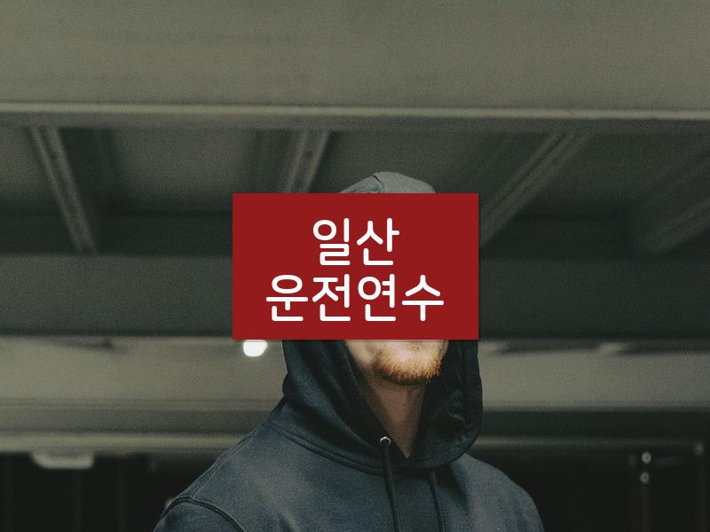 일산운전연수 후기