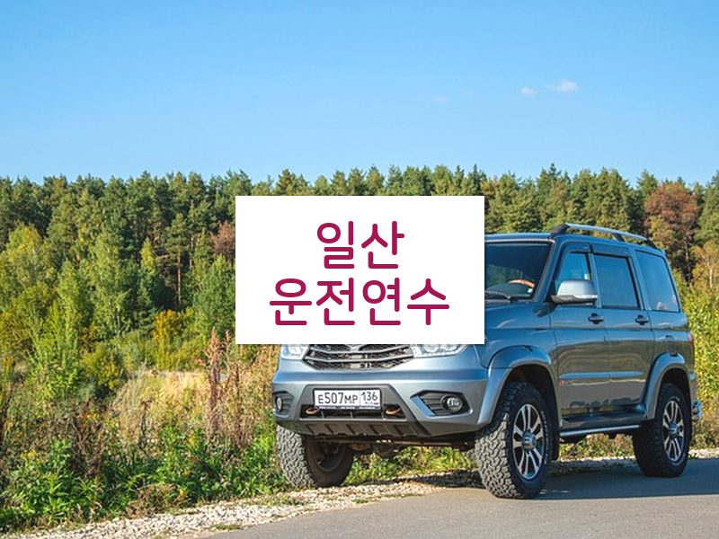 일산운전연수 후기