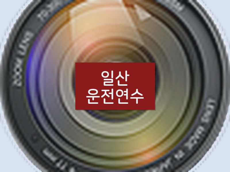 일산운전연수 후기