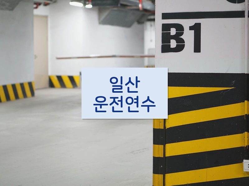 일산운전연수 후기