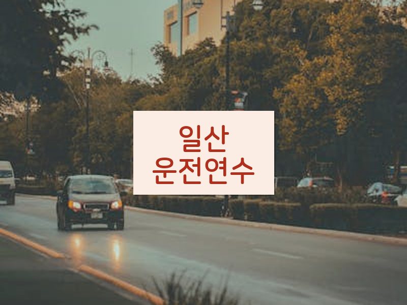 일산운전연수 후기