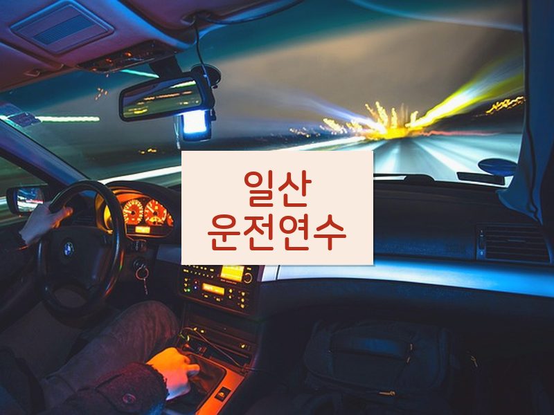 일산운전연수 후기