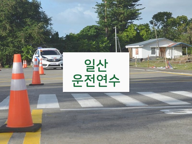 일산운전연수 후기