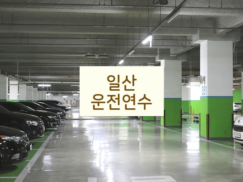 일산운전연수 후기