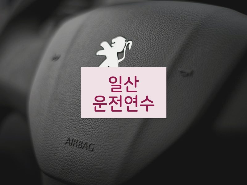 일산운전연수 후기