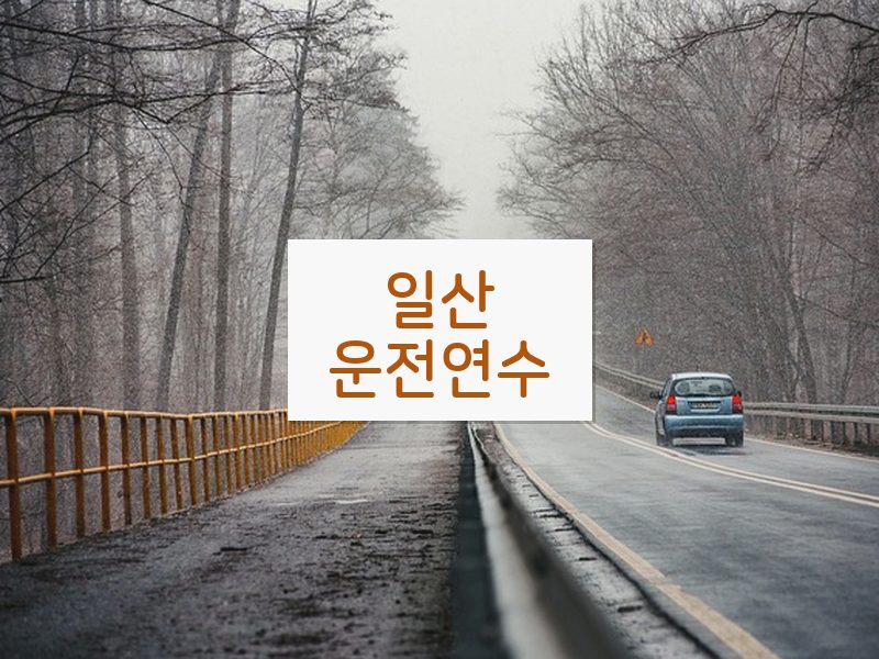 일산운전연수 후기