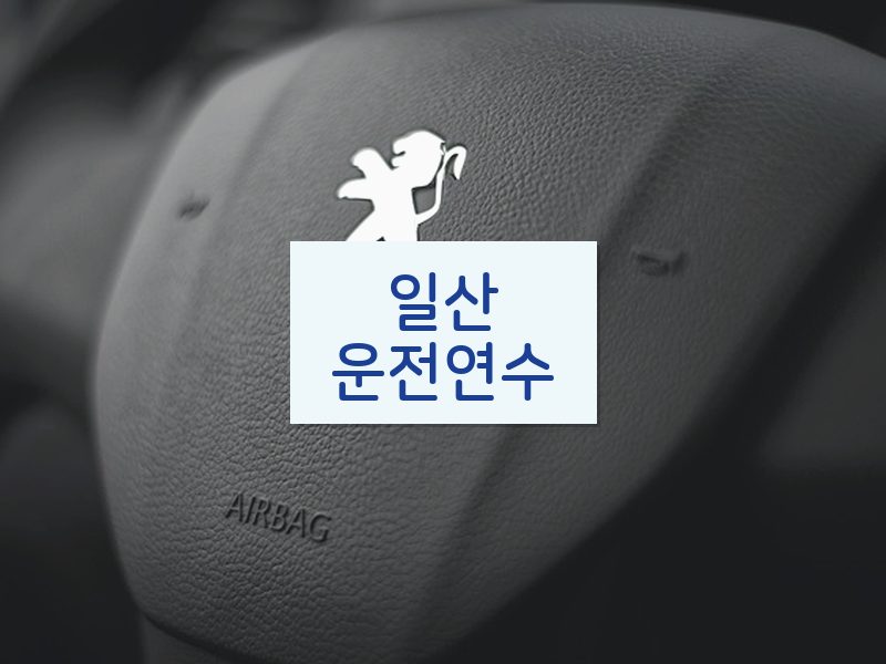 일산운전연수 후기