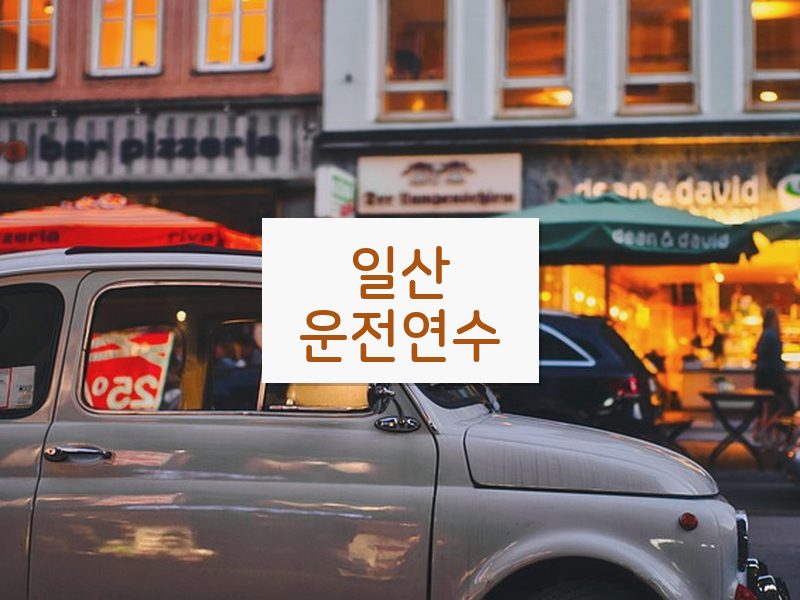 일산운전연수 후기