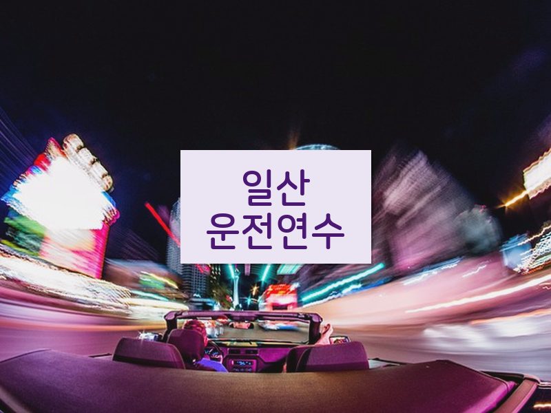 일산운전연수 후기