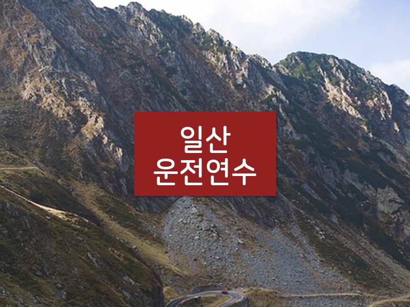 일산운전연수 후기