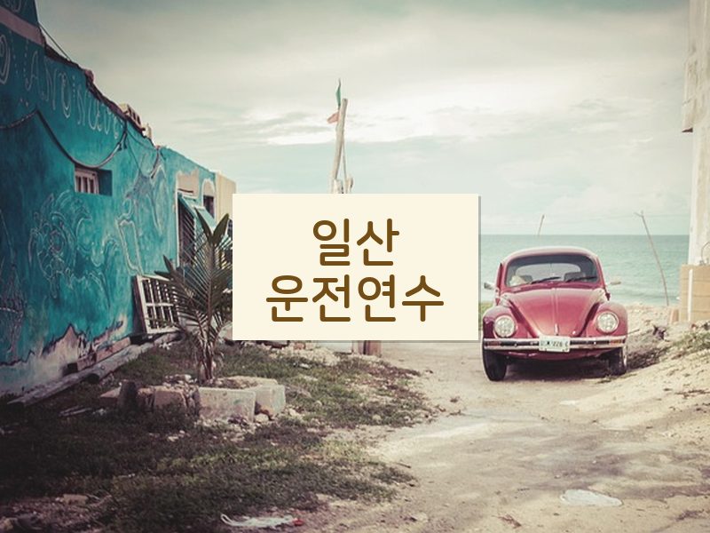 일산운전연수 후기