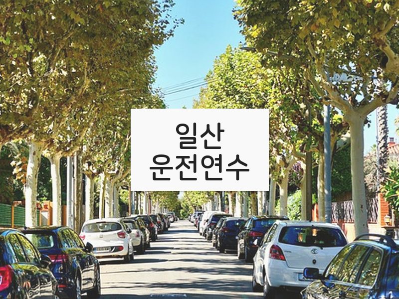 일산운전연수 후기