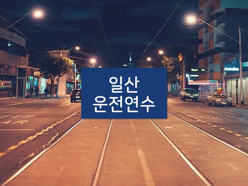 일산운전연수 후기