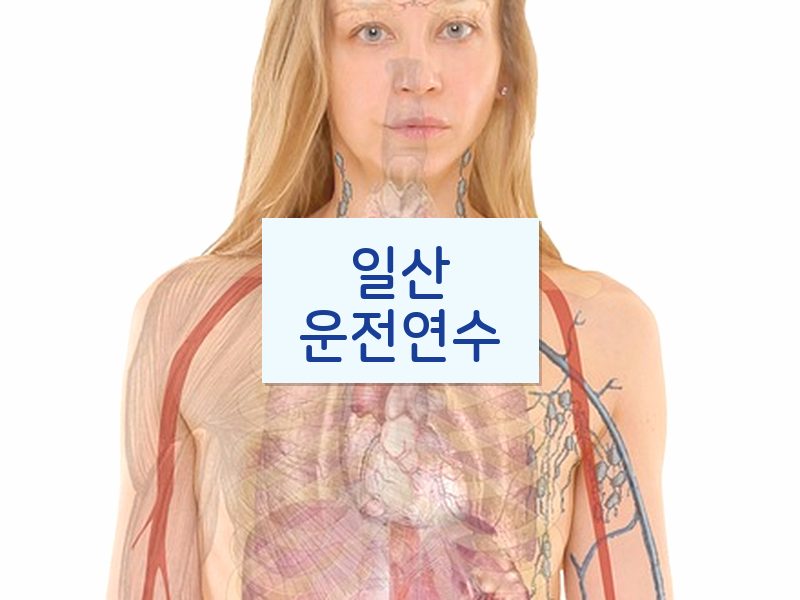 일산운전연수 후기
