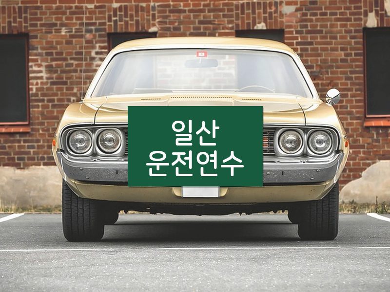 일산운전연수 후기